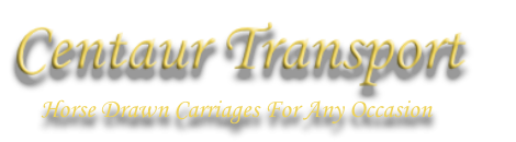 Horse Drawn Carriages For Any Occasion 
